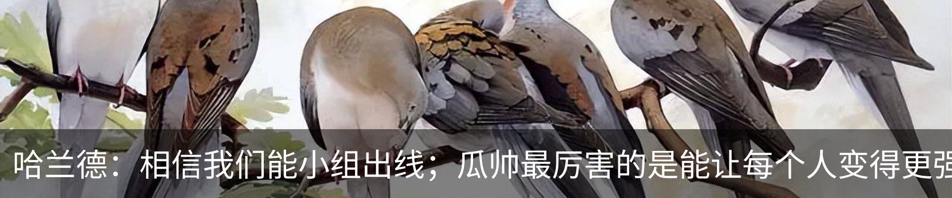 新闻动态
